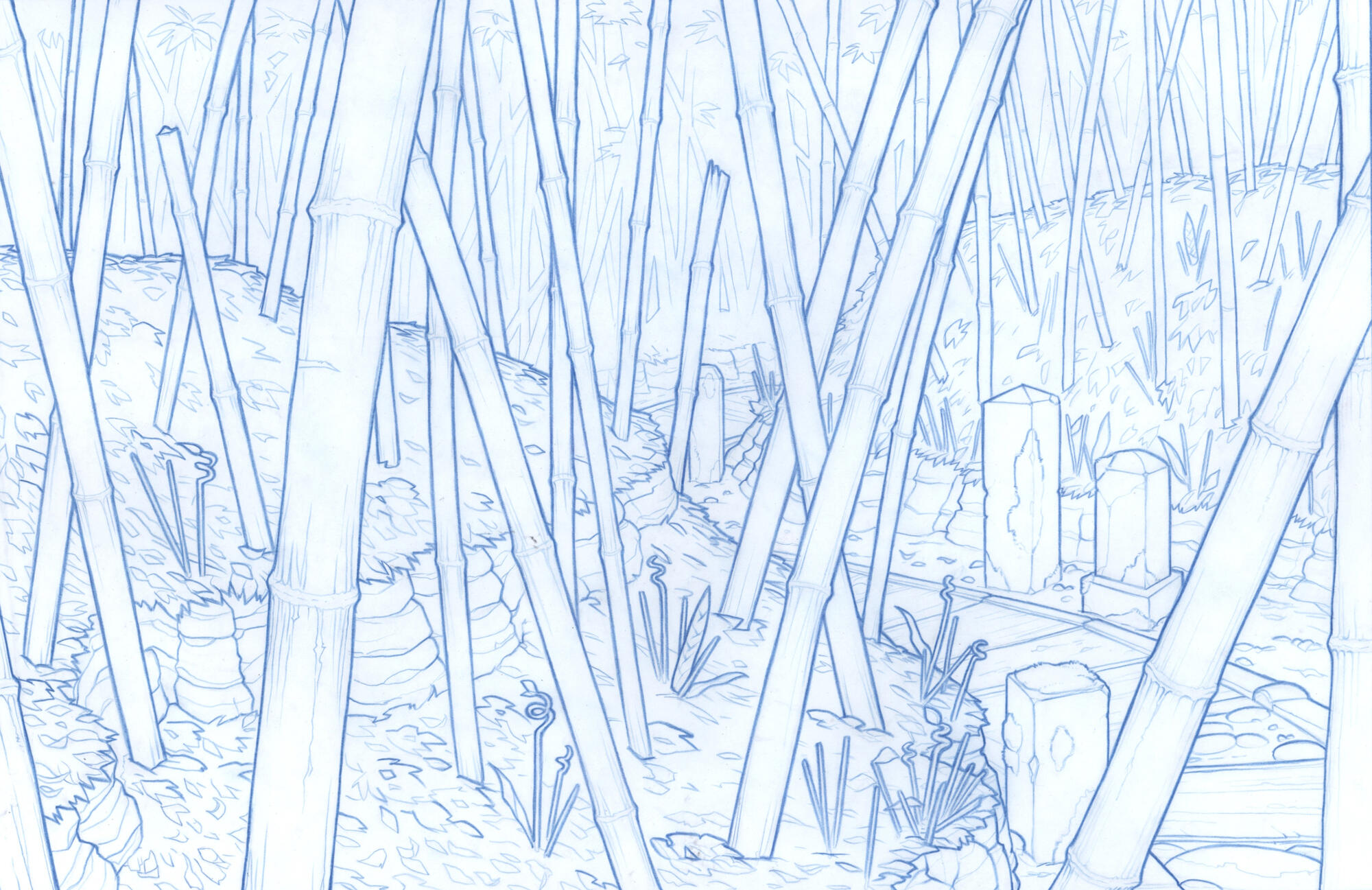 Bamboo forest - 2017